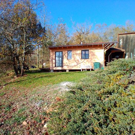 Maison Dans Un Ecrin De Verdure Saint-Leon-sur-Vezere Luaran gambar