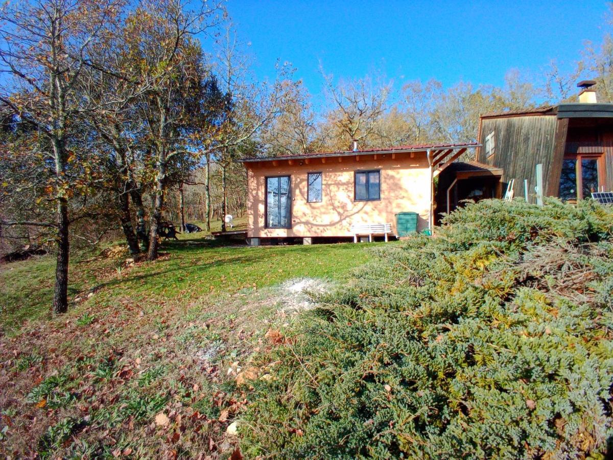 Maison Dans Un Ecrin De Verdure Saint-Leon-sur-Vezere Luaran gambar